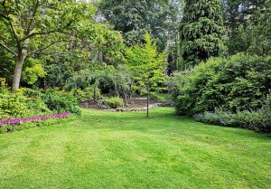 Optimiser l'expérience du jardin à Saint-Nolff