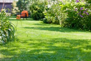 travaux jardin et paysage Saint-Nolff